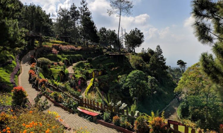 Lokasi Taman Bunga Batu