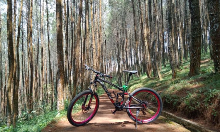 Rute Bukit Moko