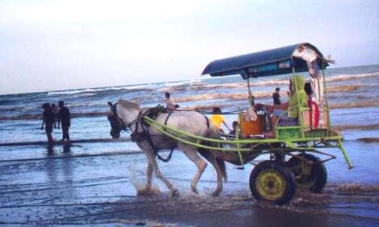Aktivitas di Pantai Widara Payung