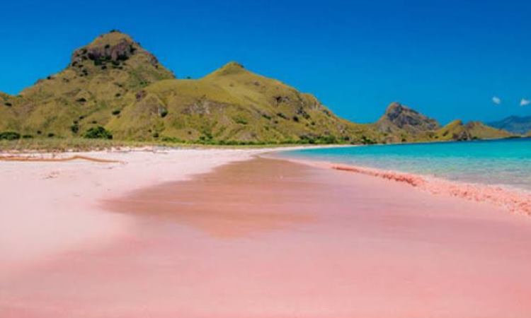 Pantai Pink Lombok – Daya Tarik, Aktivitas Liburan, Lokasi & Harga Tiket - Itrip