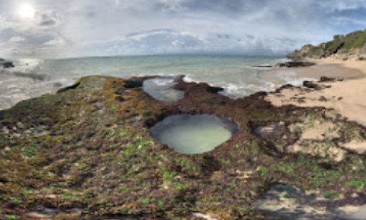 Daya Tarik Pantai Tegal
