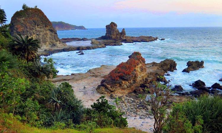 Daya Tarik Pantai Wediombo