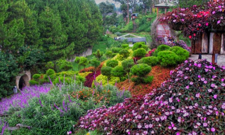 Daya Tarik Rainbow Garden