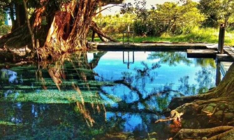 Daya Tarik Umbul Manten Klaten
