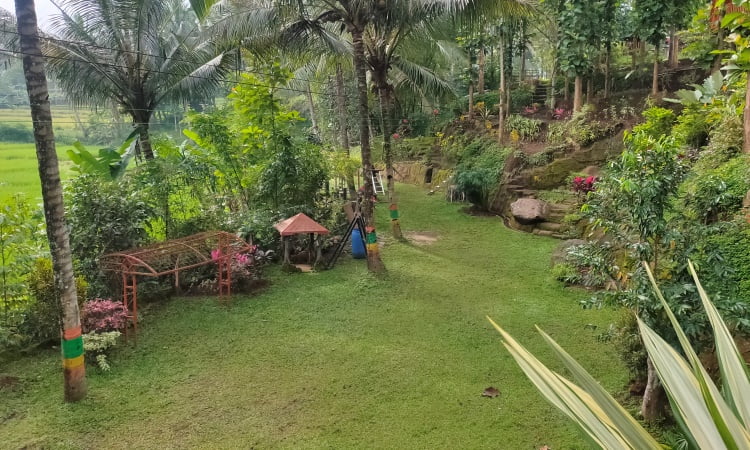 Fasilitas Taman Kelinci Tuntang