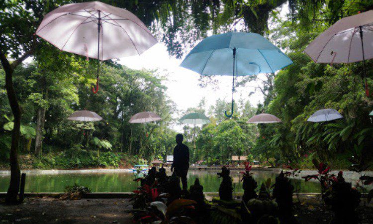 Kegiatan Menarik di Rowo Bayu