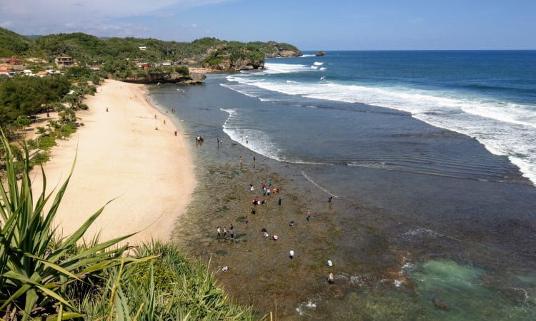 Kegiatan Pantai Drini
