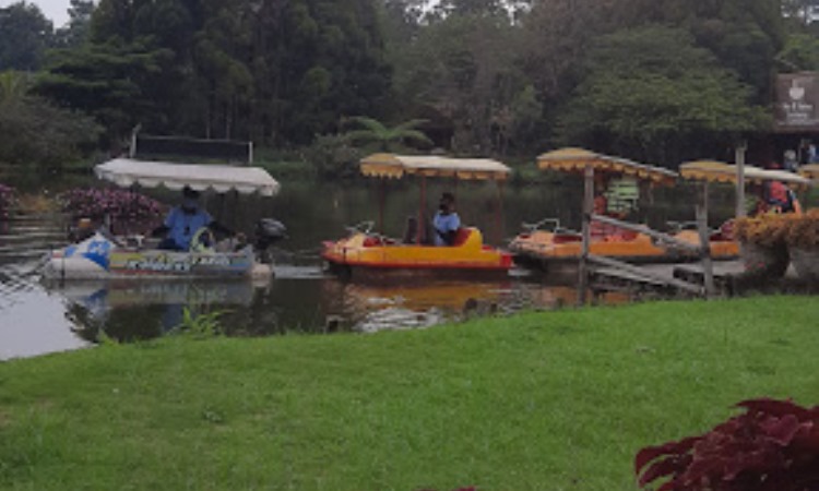 Kegiatan di Rainbow Garden