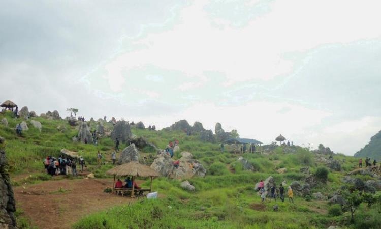 Kegiatan di Stone Garden