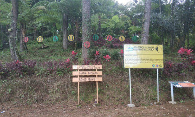 Lokasi Rawa Bayu