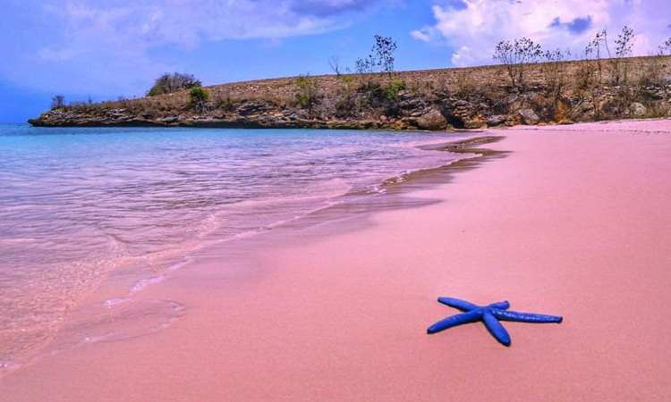 Pantai Pink Lombok – Daya Tarik, Aktivitas Liburan, Lokasi & Harga Tiket