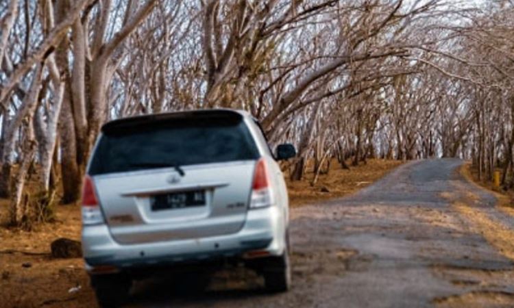 Rute Pantai Pink