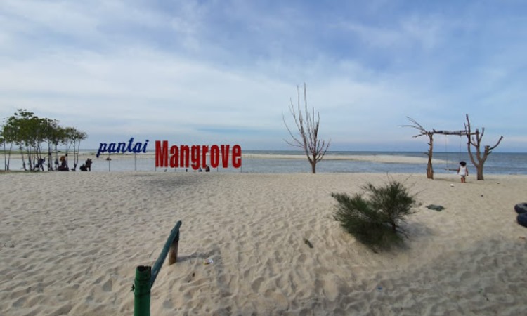 Daya Tarik Pantai Mangrove Kampung Nipah