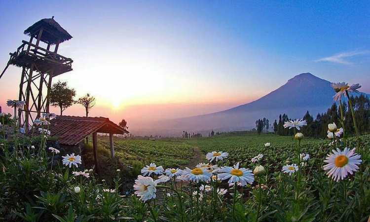 Daya Tarik Wisata Alam Posong