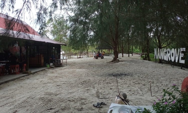 Fasilitas Pantai Mangrove Kampung Nipah