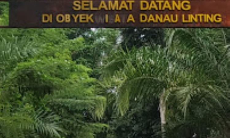 Harga Tiket Danau Linting