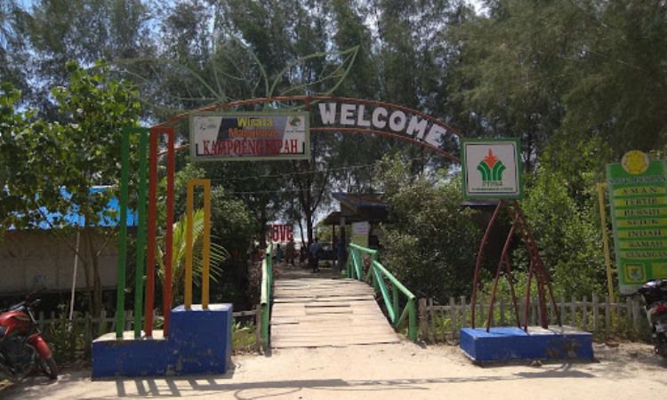 Harga Tiket Pantai Mangrove Kampung Nipah