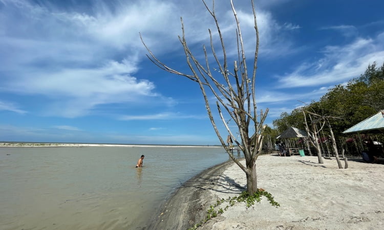 Kegiatan Pantai Mangrove Kampung Nipah