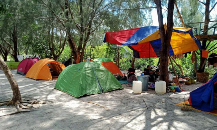Kegiatan di Pantai Mangrove