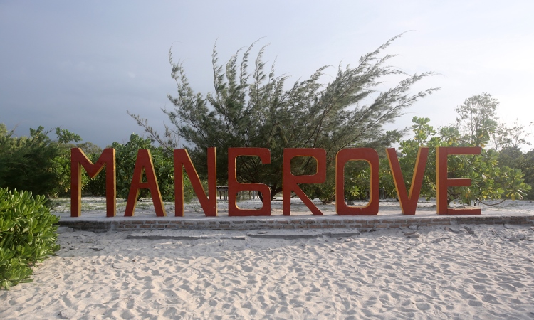Pantai Mangrove Kampung Nipah, Pesona Pasir Putih & Hutan Bakau di Serdang Bedagai Pantai Mangrove Kampung Nipah, Pesona Pasir Putih & Hutan Bakau di Serdang Bedagai