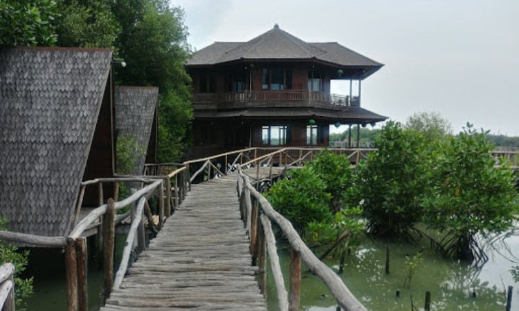 Pusat Konservasi Mangrove Angke Kapuk