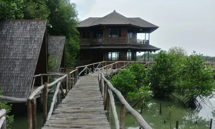 Pusat Konservasi Mangrove Angke Kapuk
