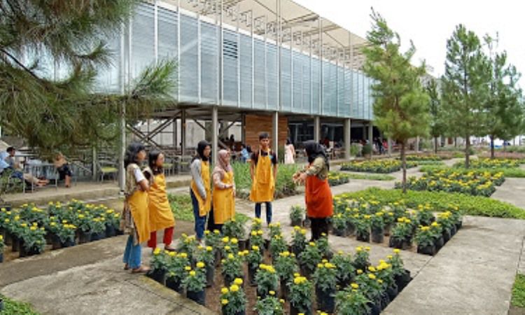 Aktivitas Menarik di Rumah Atsiri