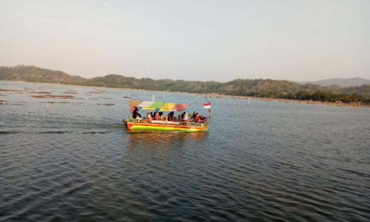 Aktivitas di Rowo Jombor