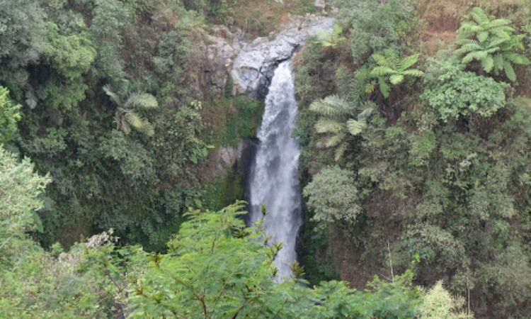 Daya Tarik Air Terjun Kedung Kayang