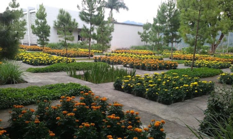 Daya Tarik Rumah Atsiri