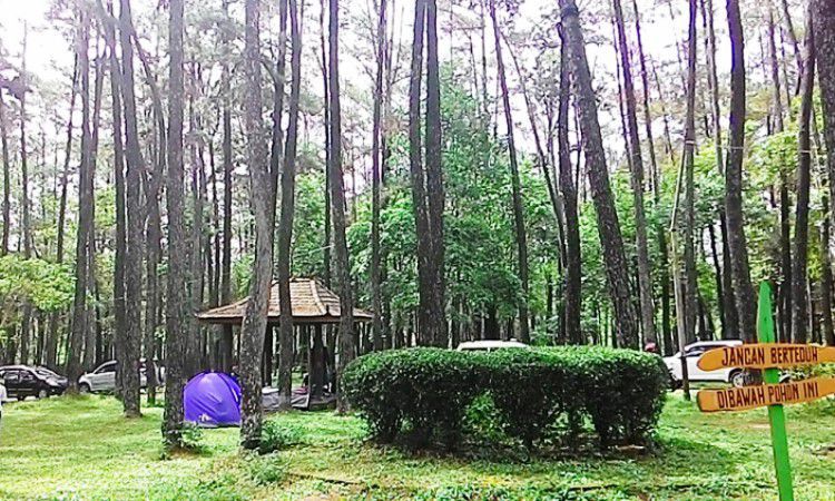Daya Tarik Taman Wisata Punti Kayu