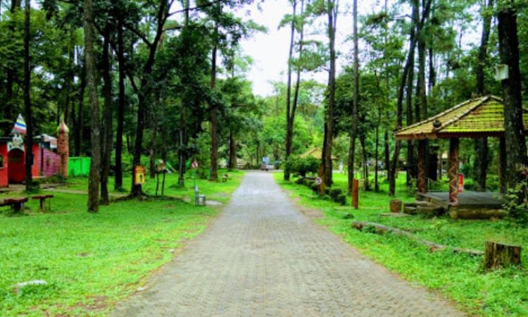 Fasilitas di Taman Punti Kayu