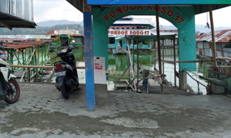 Harga Tiket Rowo Jombor Klaten
