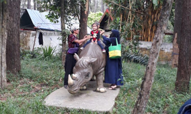 Kegiatan di Taman Punti Kayu