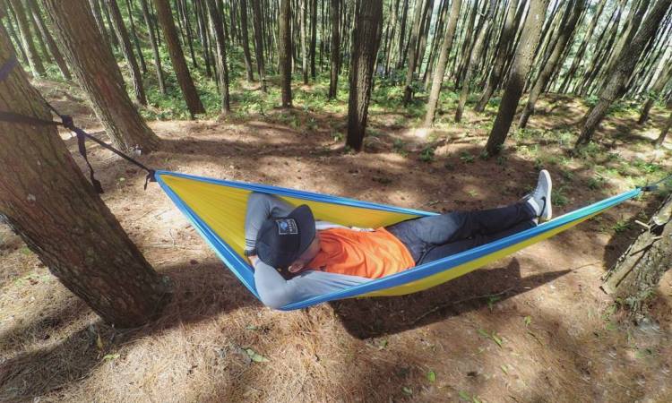 Aktivitas Hutan Pengger