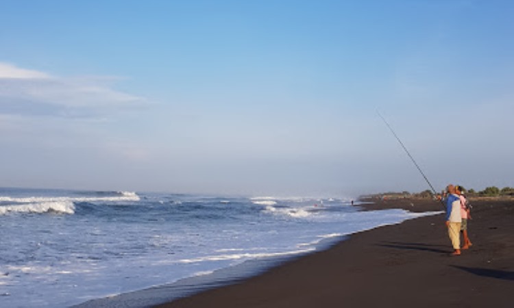 Aktivitas di Pantai Glagah