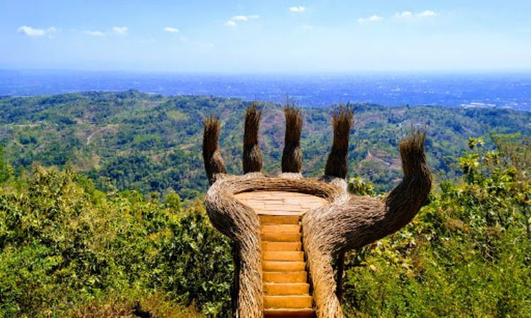 Daya Tarik Hutan Pinus Pengger