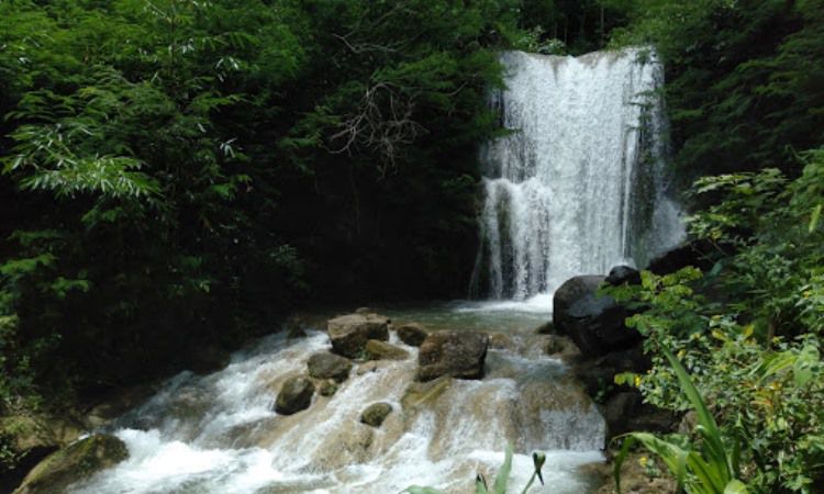 Daya Tarik dari Grojogan Sewu
