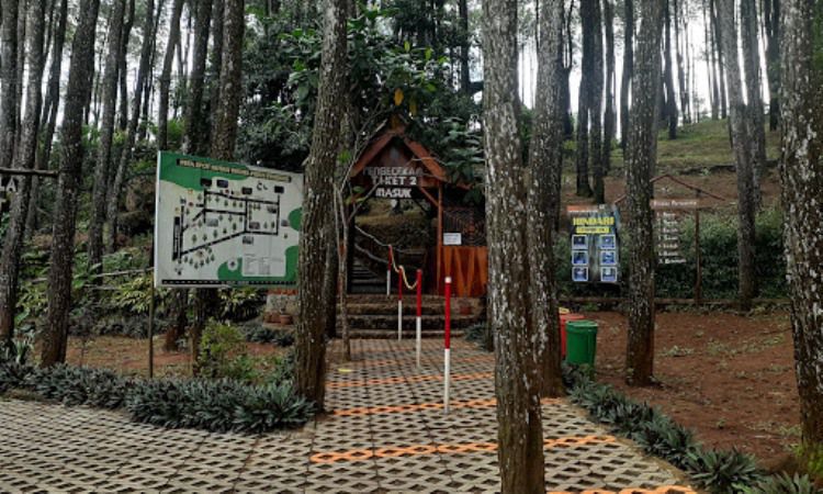 Harga Tiket Pinus Pengger Jogja