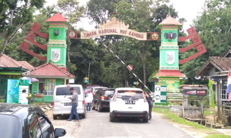Harga Tiket Taman Nasional Way Kambas