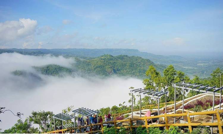 Kegiatan di Kebun Mangunan