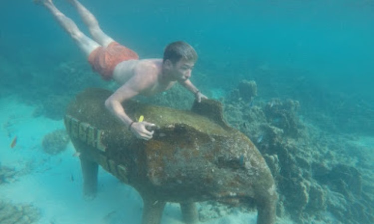Kegiatan di Pulau Tegal Mas