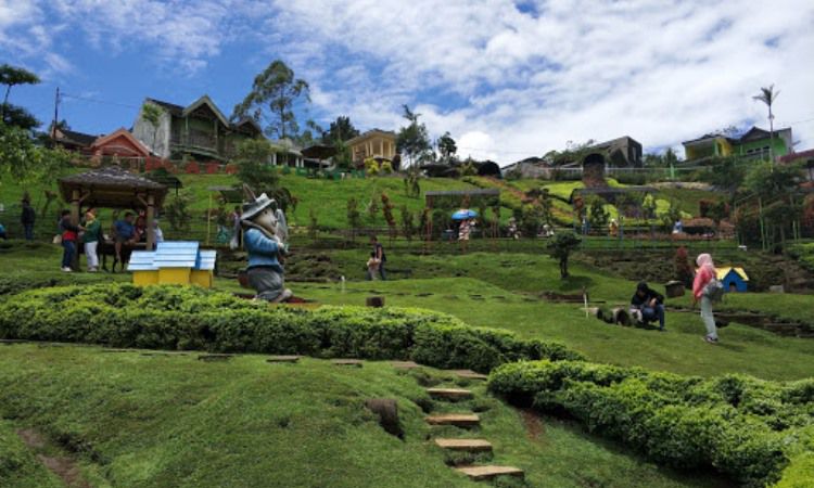 Aktivitas Dilakukan di Taman Kelinci