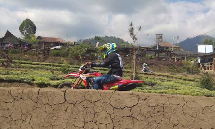 Aktivitas Menarik di Desa Pujon Kidul