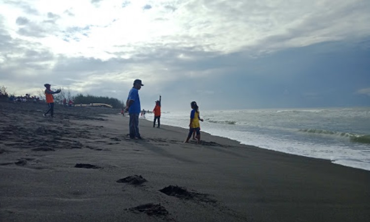 Aktivitas Menarik di Pantai Trisik