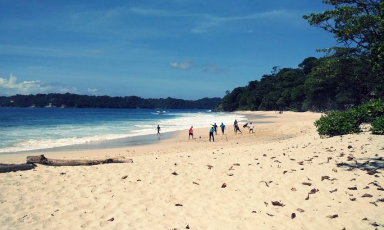 Aktivitas di Pantai Sendiki