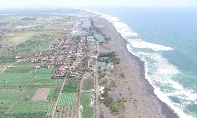 Daya Tarik Dimiliki Pantai Trisik