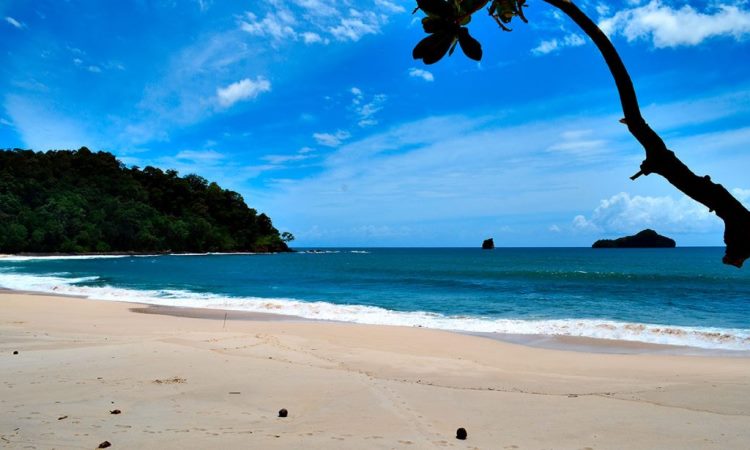 Daya Tarik Pantai Sendiki