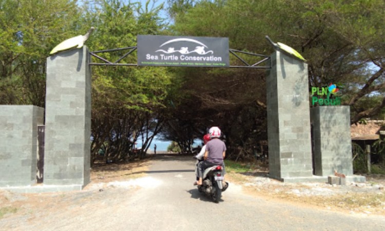 Harga Tiket Pantai Trisik Kulon Progo