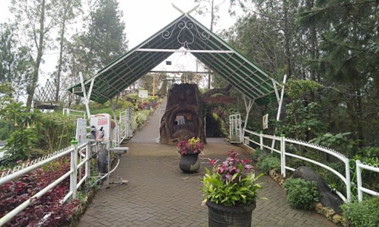Harga Tiket Paralayang